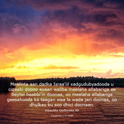 Picture 03 - Caamoos 3:14 SOM - Maalinta aan dadka Israa'iil xadgudubyadooda u - Bible Verse Picture