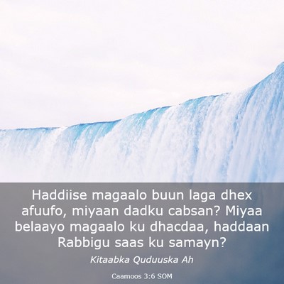 Picture 03 - Caamoos 3:6 SOM - Haddiise magaalo buun laga dhex afuufo, miyaan - Bible Verse Picture