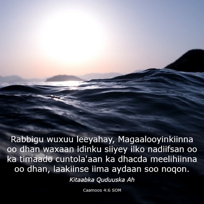 Picture 03 - Caamoos 4:6 SOM - Rabbigu wuxuu leeyahay, Magaalooyinkiinna oo dhan - Bible Verse Picture