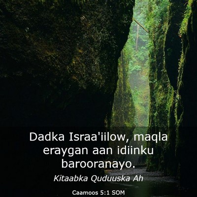 Picture 03 - Caamoos 5:1 SOM - Dadka Israa'iilow, maqla eraygan aan idiinku - Bible Verse Picture