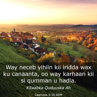 Picture 03 - Caamoos 5:10 SOM - Way neceb yihiin kii iridda wax ku canaanta, oo - Bible Verse Picture