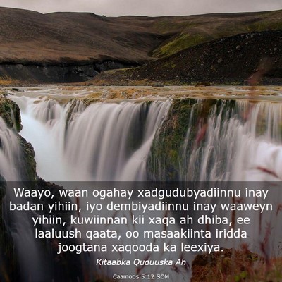 Picture 03 - Caamoos 5:12 SOM - Waayo, waan ogahay xadgudubyadiinnu inay badan - Bible Verse Picture