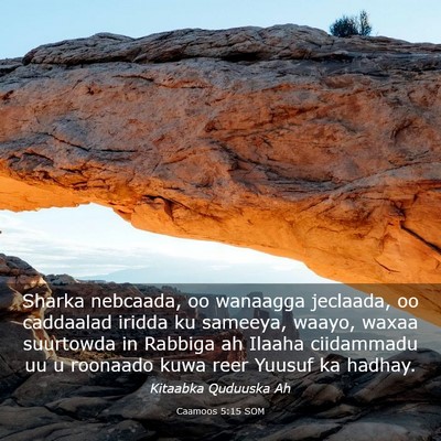 Picture 03 - Caamoos 5:15 SOM - Sharka nebcaada, oo wanaagga jeclaada, oo - Bible Verse Picture