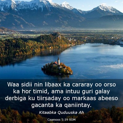 Picture 03 - Caamoos 5:19 SOM - Waa sidii nin libaax ka cararay oo orso ka hor - Bible Verse Picture