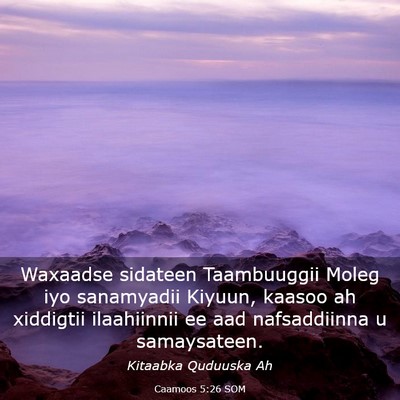 Picture 03 - Caamoos 5:26 SOM - Waxaadse sidateen Taambuuggii Moleg iyo - Bible Verse Picture