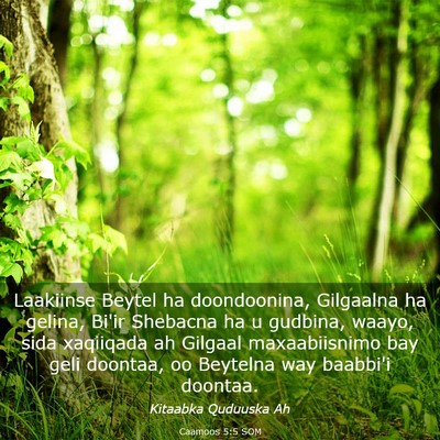 Picture 03 - Caamoos 5:5 SOM - Laakiinse Beytel ha doondoonina, Gilgaalna ha - Bible Verse Picture