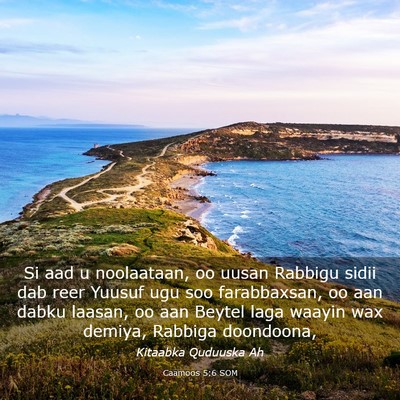 Picture 03 - Caamoos 5:6 SOM - Si aad u noolaataan, oo uusan Rabbigu sidii dab - Bible Verse Picture
