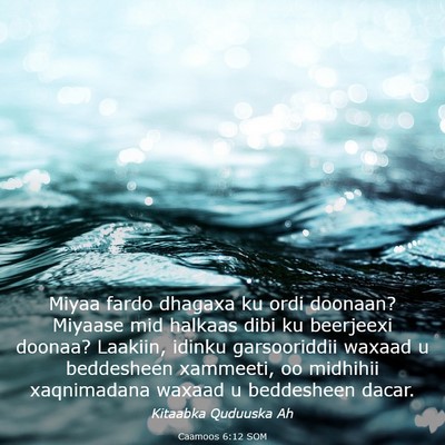 Picture 03 - Caamoos 6:12 SOM - Miyaa fardo dhagaxa ku ordi doonaan? Miyaase mid - Bible Verse Picture