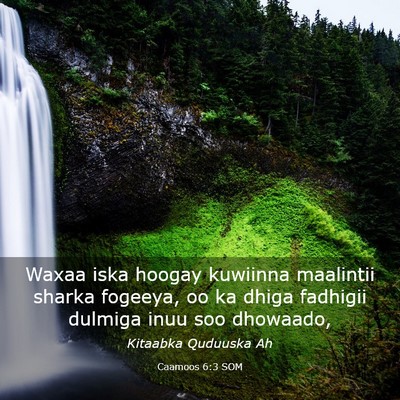 Picture 03 - Caamoos 6:3 SOM - Waxaa iska hoogay kuwiinna maalintii sharka - Bible Verse Picture