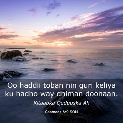 Picture 03 - Caamoos 6:9 SOM - Oo haddii toban nin guri keliya ku hadho way - Bible Verse Picture