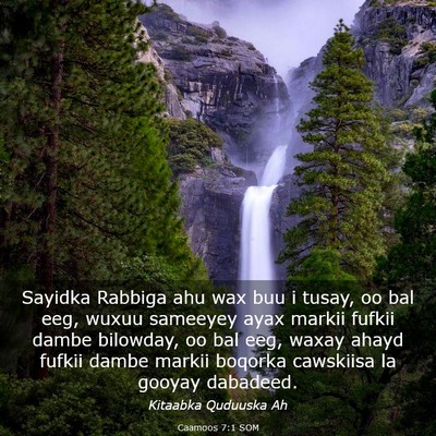 Picture 03 - Caamoos 7:1 SOM - Sayidka Rabbiga ahu wax buu i tusay, oo bal eeg, - Bible Verse Picture