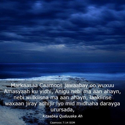 Picture 03 - Caamoos 7:14 SOM - Markaasaa Caamoos jawaabay oo wuxuu Amasyaah ku - Bible Verse Picture