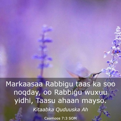 Picture 03 - Caamoos 7:3 SOM - Markaasaa Rabbigu taas ka soo noqday, oo Rabbigu - Bible Verse Picture