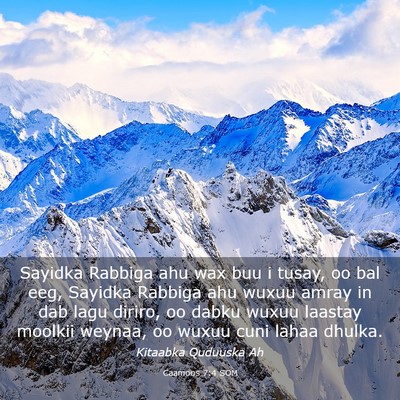 Picture 03 - Caamoos 7:4 SOM - Sayidka Rabbiga ahu wax buu i tusay, oo bal eeg, - Bible Verse Picture