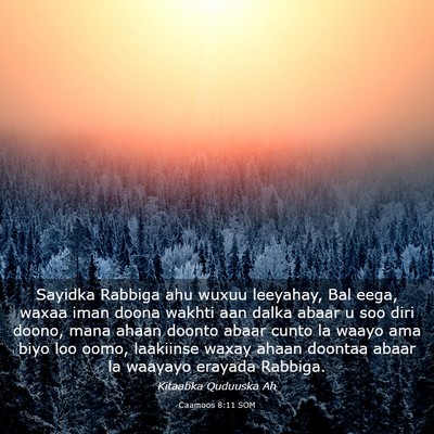 Picture 03 - Caamoos 8:11 SOM - Sayidka Rabbiga ahu wuxuu leeyahay, Bal eega, - Bible Verse Picture