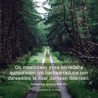 Picture 03 - Caamoos 8:13 SOM - Oo maalintaas ayaa bikradaha qurqurxoon iyo - Bible Verse Picture