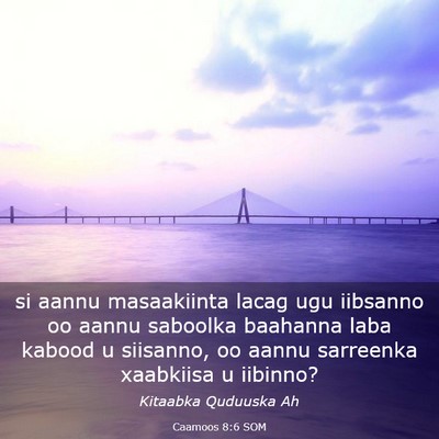 Picture 03 - Caamoos 8:6 SOM - si aannu masaakiinta lacag ugu iibsanno oo aannu - Bible Verse Picture