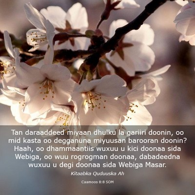 Picture 03 - Caamoos 8:8 SOM - Tan daraaddeed miyaan dhulku la gariiri doonin, - Bible Verse Picture