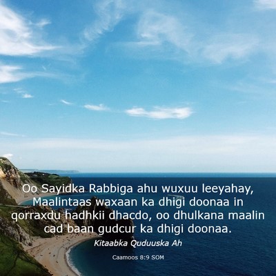 Picture 03 - Caamoos 8:9 SOM - Oo Sayidka Rabbiga ahu wuxuu leeyahay, Maalintaas - Bible Verse Picture