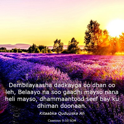 Picture 03 - Caamoos 9:10 SOM - Dembilayaasha dadkayga oo dhan oo leh, Belaayo na - Bible Verse Picture