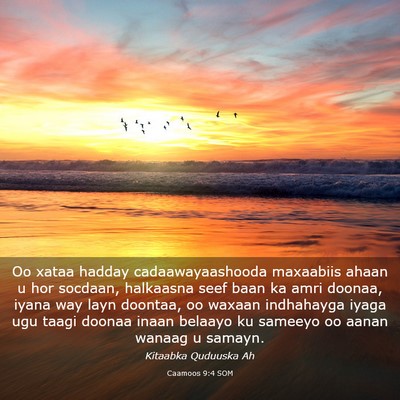 Picture 03 - Caamoos 9:4 SOM - Oo xataa hadday cadaawayaashooda maxaabiis ahaan - Bible Verse Picture