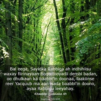 Picture 03 - Caamoos 9:8 SOM - Bal eega, Sayidka Rabbiga ah indhihiisu waxay - Bible Verse Picture