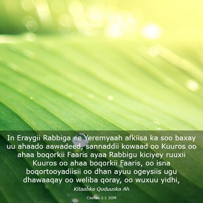 Picture 03 - Cesraa 1:1 SOM - In Eraygii Rabbiga ee Yeremyaah afkiisa ka soo - Bible Verse Picture