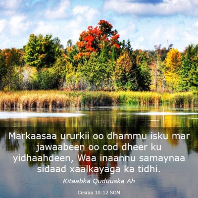 Picture 03 - Cesraa 10:12 SOM - Markaasaa ururkii oo dhammu isku mar jawaabeen oo - Bible Verse Picture