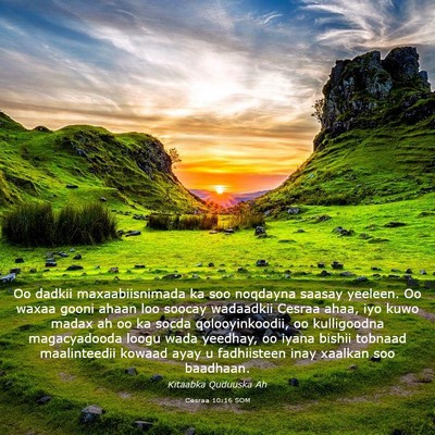 Picture 03 - Cesraa 10:16 SOM - Oo dadkii maxaabiisnimada ka soo noqdayna saasay - Bible Verse Picture