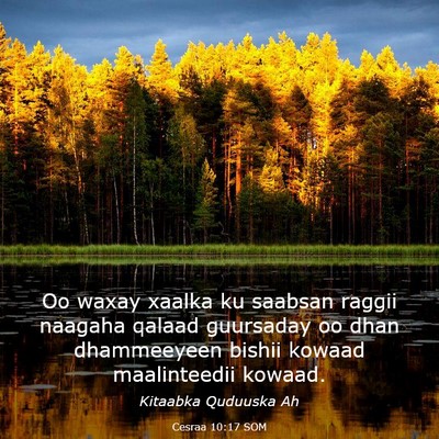 Picture 03 - Cesraa 10:17 SOM - Oo waxay xaalka ku saabsan raggii naagaha qalaad - Bible Verse Picture