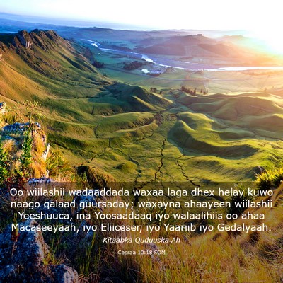 Picture 03 - Cesraa 10:18 SOM - Oo wiilashii wadaaddada waxaa laga dhex helay - Bible Verse Picture