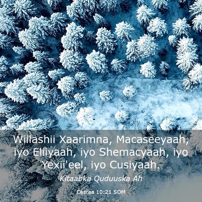 Picture 03 - Cesraa 10:21 SOM - Wiilashii Xaarimna, Macaseeyaah, iyo Eliiyaah, - Bible Verse Picture