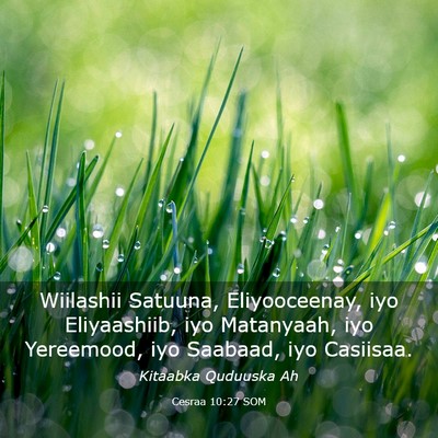 Picture 03 - Cesraa 10:27 SOM - Wiilashii Satuuna, Eliyooceenay, iyo Eliyaashiib, - Bible Verse Picture