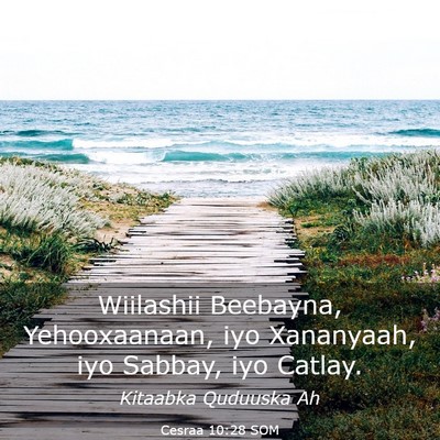 Picture 03 - Cesraa 10:28 SOM - Wiilashii Beebayna, Yehooxaanaan, iyo Xananyaah, - Bible Verse Picture