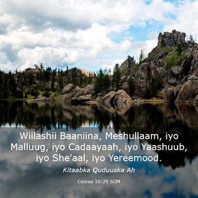 Picture 03 - Cesraa 10:29 SOM - Wiilashii Baaniina, Meshullaam, iyo Malluug, iyo - Bible Verse Picture