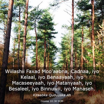 Picture 03 - Cesraa 10:30 SOM - Wiilashii Faxad Moo'aabna, Cadnaa, iyo Kelaal, - Bible Verse Picture