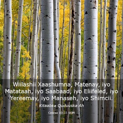 Picture 03 - Cesraa 10:33 SOM - Wiilashii Xaashumna, Matenay, iyo Matataah, iyo - Bible Verse Picture