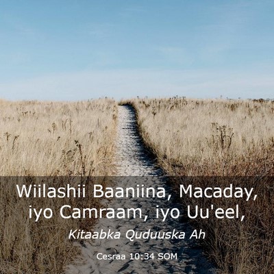 Picture 03 - Cesraa 10:34 SOM - Wiilashii Baaniina, Macaday, iyo Camraam, iyo - Bible Verse Picture