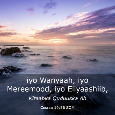 Picture 03 - Cesraa 10:36 SOM - iyo Wanyaah, iyo Mereemood, iyo - Bible Verse Picture