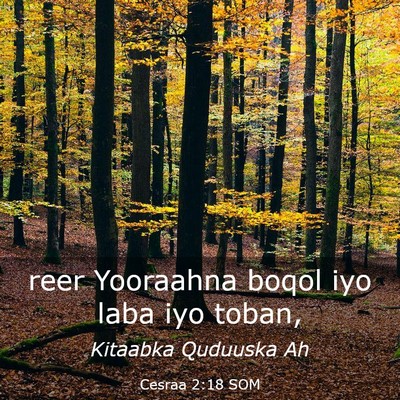 Picture 03 - Cesraa 2:18 SOM - reer Yooraahna boqol iyo laba iyo - Bible Verse Picture