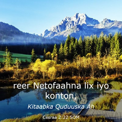 Picture 03 - Cesraa 2:22 SOM - reer Netofaahna lix iyo - Bible Verse Picture