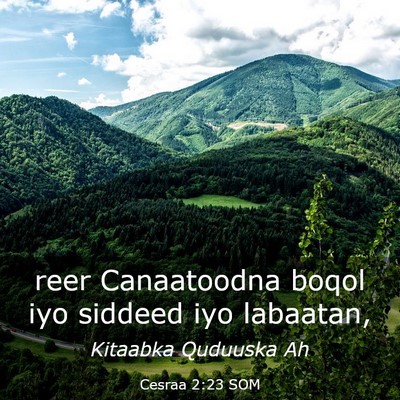 Picture 03 - Cesraa 2:23 SOM - reer Canaatoodna boqol iyo siddeed iyo - Bible Verse Picture