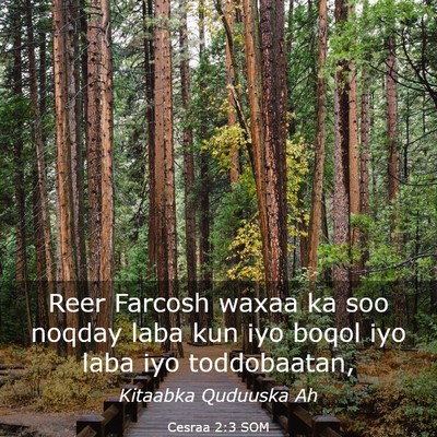 Picture 03 - Cesraa 2:3 SOM - Reer Farcosh waxaa ka soo noqday laba kun iyo - Bible Verse Picture