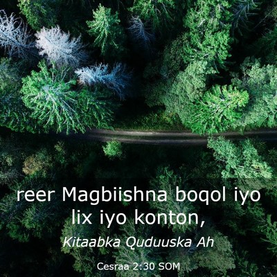 Picture 03 - Cesraa 2:30 SOM - reer Magbiishna boqol iyo lix iyo - Bible Verse Picture