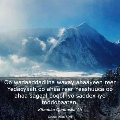 Picture 03 - Cesraa 2:36 SOM - Oo wadaaddadiina waxay ahaayeen reer Yedacyaah oo - Bible Verse Picture