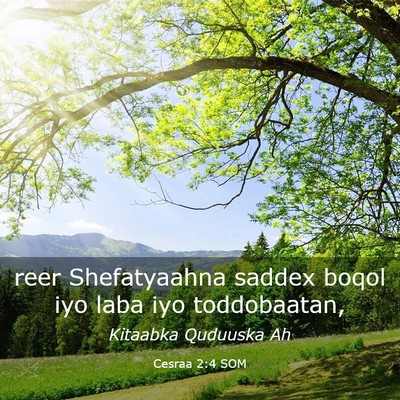 Picture 03 - Cesraa 2:4 SOM - reer Shefatyaahna saddex boqol iyo laba iyo - Bible Verse Picture