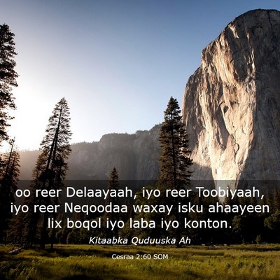 Picture 03 - Cesraa 2:60 SOM - oo reer Delaayaah, iyo reer Toobiyaah, iyo reer - Bible Verse Picture