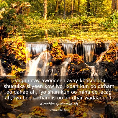 Picture 03 - Cesraa 2:69 SOM - Iyagu intay awoodeen ayay khasnaddii shuqulka - Bible Verse Picture