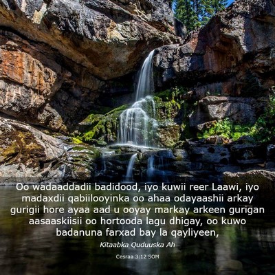 Picture 03 - Cesraa 3:12 SOM - Oo wadaaddadii badidood, iyo kuwii reer Laawi, - Bible Verse Picture