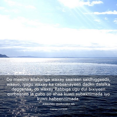 Picture 03 - Cesraa 3:3 SOM - Oo meeshii allabariga waxay saareen - Bible Verse Picture